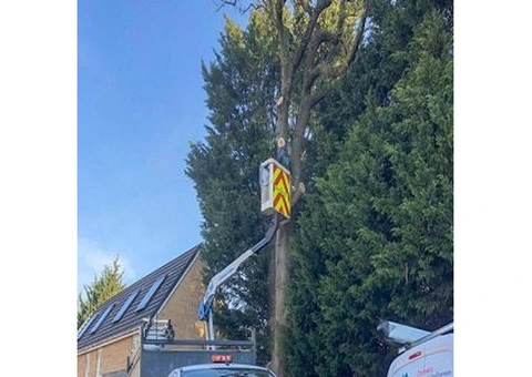 Hywel Jones Tree Services - 2/5