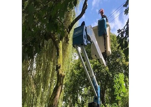 Hywel Jones Tree Services - 3/5
