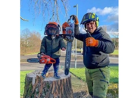 Hywel Jones Tree Services - 4/5