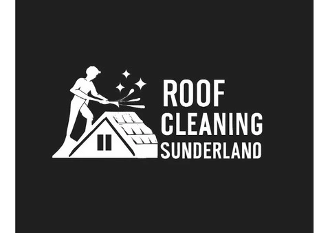 Roof Cleaning Sunderland UK - 1/11