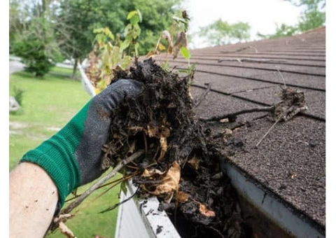Roof Cleaning Sunderland UK - 5/11