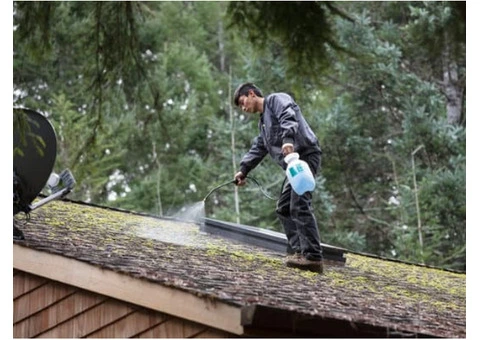 Roof Cleaning Sunderland UK - 7/11