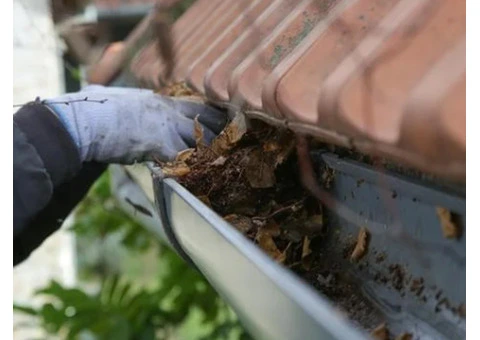 Roof Cleaning Sunderland UK - 9/11