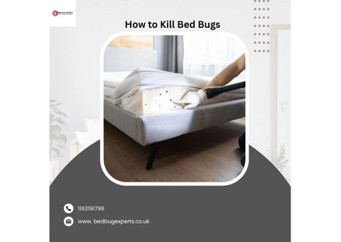 How to Kill Bed Bugs Fast – Proven Heat Treatments