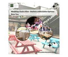 Wedding Chairs Hire - Stylish & Affordable Options Near You