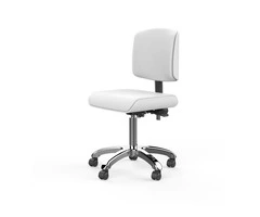 Buy Spa Therapist Stool – Perfect for Salon, Spa & Wellness Centers