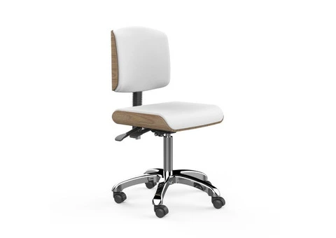 Buy Spa Therapist Stool – Perfect for Salon, Spa & Wellness Centers - 2/4