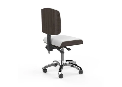 Buy Spa Therapist Stool – Perfect for Salon, Spa & Wellness Centers - 3/4