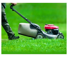 Expert Gardening & Landscaping Services in Romford