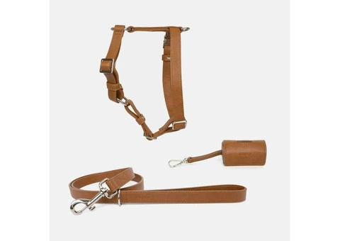 Vegan Dog Collar and Leashes - 1/3