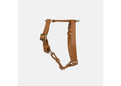 Vegan Dog Collar and Leashes - 2/3