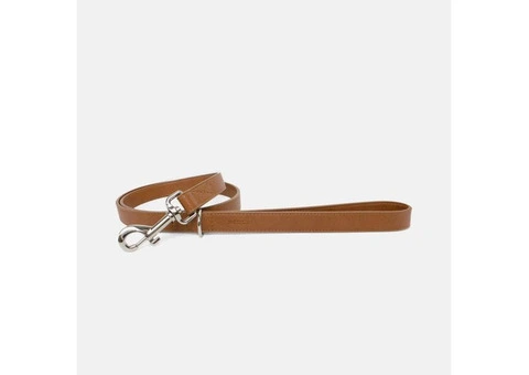Vegan Dog Collar and Leashes - 3/3
