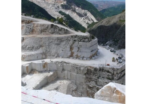 Arabescato Carrara Marble for Sale