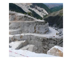 Arabescato Carrara Marble for Sale