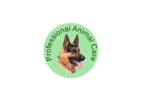 Caring Experts for Canine Training in Bath