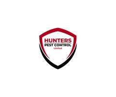 Pest Control In Essex | Essex Pest Control Specialists