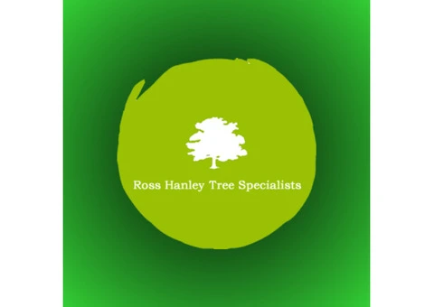 Qualified Tree Surgeon Ripon - Ross Hanley Tree Specialists
