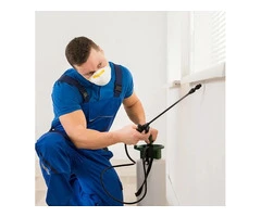 Quick Pest Control Services London – Affordable & Professional