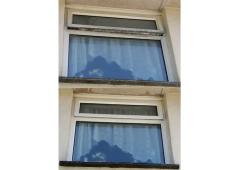 Local Window Cleaner - 3/3