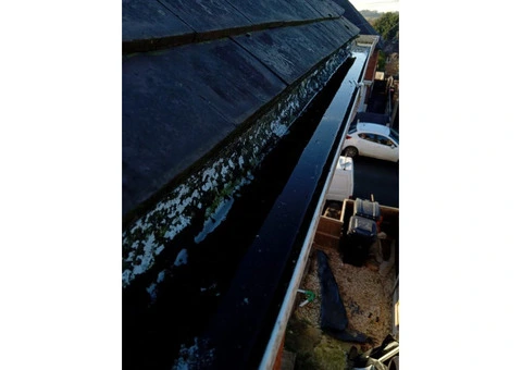 Gutter Cleaning | Leaf Removal | Local Gutter Cleaning