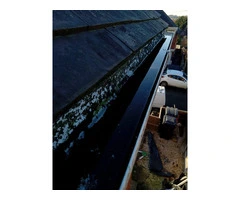 Gutter Cleaning | Leaf Removal | Local Gutter Cleaning