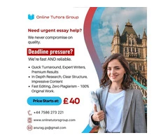 Best Essay Help London