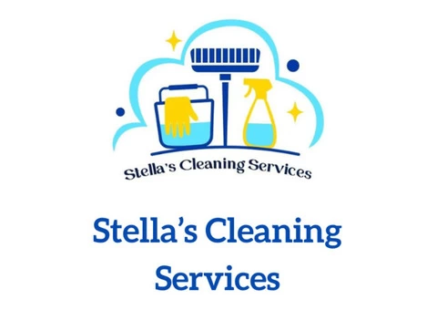 Professional House Cleaning Services in London