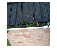 Gutter Cleaning Near Me | Gutter Cleaner | Local Gutter Cleaning – WOW Gutters