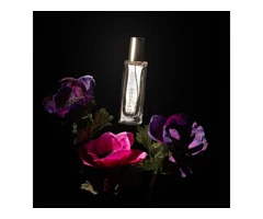 Inspired by Rose of No Man's Land, 329 - Rose Noir, Rosa Salas