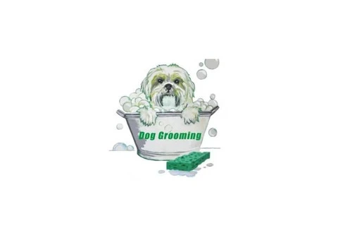 Affordable Dog Grooming Services in Hitchin – Jazz Up Your Paws