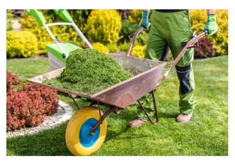 Reliable Gardeners in Dagenham