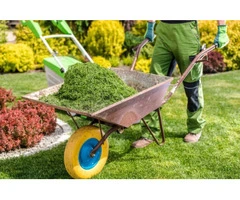 Create Your Amazing Garden