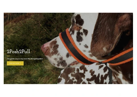 Stylish No Pull Headcollars and Accessories for Every Dog