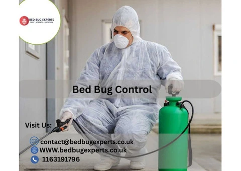 Fast & Safe Bed Bugs Control in Leicester – Call the Experts