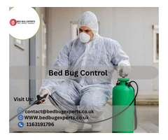 Fast & Safe Bed Bugs Control in Leicester – Call the Experts