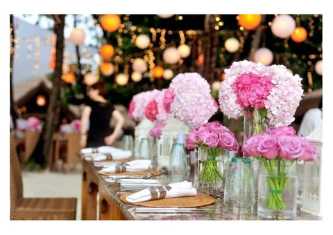 Why Choose Norwich Entertainment for Weddings & Parties in 2025