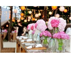 Why Choose Norwich Entertainment for Weddings & Parties in 2025