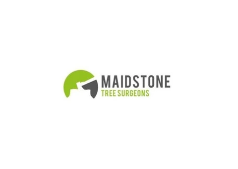 Trusted Arborist Services in Maidstone – Call Maidstone Tree Surgeons Ltd