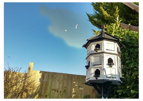 dovecotes and titcotes - 3/8