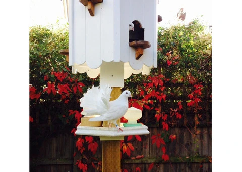 dovecotes and titcotes - 8/8