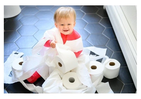 Affordable Wholesale Toilet Paper in Manchester – Ideal for Bulk Buyers