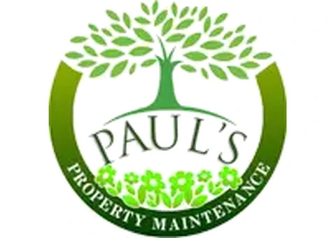 Comprehensive Tree Surgery Limerick: All Your Tree Needs Covered