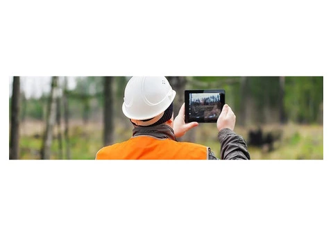 Arboricultural Consultancy Services in London - 5/13