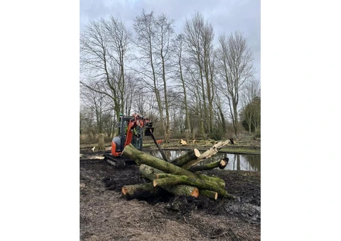 Professional Tree Service & Tree Felling in Southport - Traditional Tree Care - 2/7
