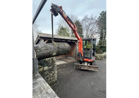 Professional Tree Service & Tree Felling in Southport - Traditional Tree Care - 3/7