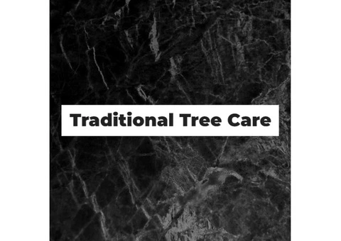 Professional Tree Service & Tree Felling in Southport - Traditional Tree Care - 4/7