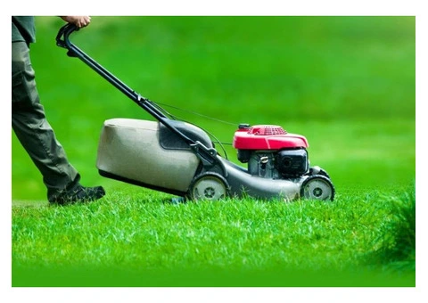 Transform Your Outdoor Space with Gardening & Landscaping Services in Romford