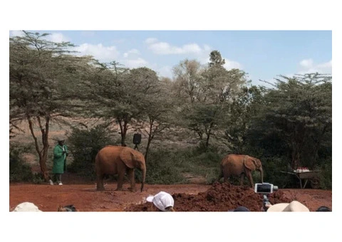 Nairobi Excursions Tours | Ashford Tours & Travel LTD