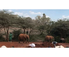 Nairobi Excursions Tours | Ashford Tours & Travel LTD