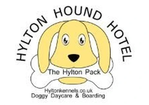 Wondering Where to Find Dog Kennels in Bromsgrove?
